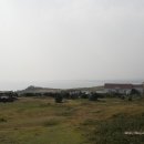 협자연대 이미지