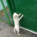 준독트레이닝센터 이미지