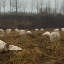 순흥농원 이미지