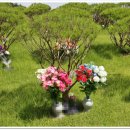 택수목장 이미지