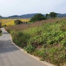 검산제 이미지