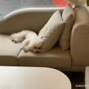 그릿죽전점 이미지