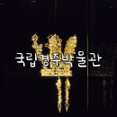 금강토기 | 국립경주박물관 방문 후기 (신라금관전 예매, 2025 APEC 회담장소)