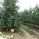 솔봉농장 이미지