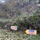 은행나무3길 이미지