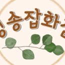 멍스토어 이미지