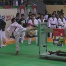 한국체대 송일태권도장 이미지