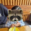 줄포제5소교량 | 양재역 뱅뱅사거리 맛집 부안애서 서초점 | 토마토 닭도리탕과 전통주가 있는 퓨전한식맛집 한식주점