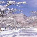 기린07-2 이미지