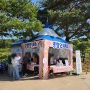 미르통상 | 봄꽃명소 추천 '2026 회룡포 봄나들이 축제' 철쭉 등 봄꽃축제 실시간 만개 개화 상황 실제 방문 후기