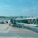 [제주도/신혼여행] 1일차 - 1 (첫날은 제주 서쪽으로 🛫)