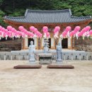 묵이네 냥이 | [남양주] 묘적사 템플스테이 체험형 1박2일 후기 첫템플스테이 추천 차담 108배 염주 만들기