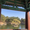 명동쫄면 - 남동구 만경로8번길 21 | 명동쫄면