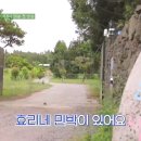 호령민박 이미지