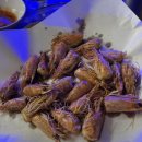 대하카써비스 이미지