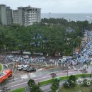 경포파인 이미지