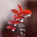 덴마크보청기강북센터 이미지