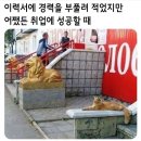 곱창다방 이미지