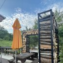 숲속 짱구네 이미지