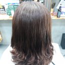 최가 미장 이미지