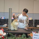 그루밍캐터리 이미지