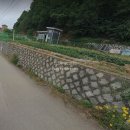 바이오밸리공인중개사사무소 이미지