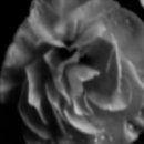 ACT 페스티벌 이미지