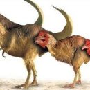 공룡pc방 이미지