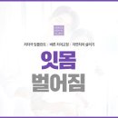 올림픽오라클치과의원 네이버블로그