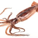 전통음식점 원양 이미지