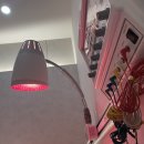 정원한의원 | 도산공원 한의원 힙 리프팅 : 스컬트힙 1회차 솔직후기⋰˚✩