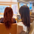 다임 | 한티역 미용실 추천, 레이어드컷 전문 차홍룸 대치점 다임쌤 클리닉 재방문 후기