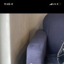 개도널사랑해 이미지