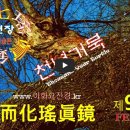 이화요진경 제9호(FEB'26) 천년거북 이미지