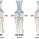 풍산동물병원 이미지