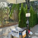 청춘펜션 이미지