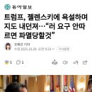 트럼프, 젤렌스키에 욕설하며 지도 내던져...러 요구 안따르면 파멸당할것 이미지