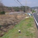 토지식당 이미지