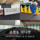 펫바비 | 콜리 마쓰와 함께 다녀온 관평동 바디펫 독피트니스 솔직 후기 ! (슬개골 관리 &amp; 대전 강아지 재활 추천)