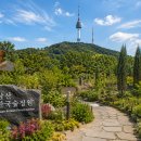 죽림원 | 남산 한국숲정원 후기｜이끼원·죽림원·솔숲원 완벽 가이드