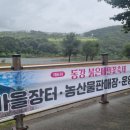 메밀꽃 화장실 이미지