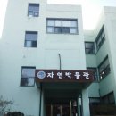 영남대학교자연박물관 이미지