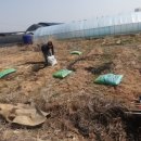 화정농장1 이미지