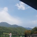 유정1955 이미지