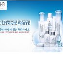 엘오케이