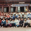 수항초 Daum카페