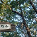 노티재 산등선 따라 이미지