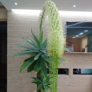 영주2동 행정복지센터 이미지