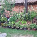 인동초민박 이미지