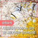 꽃내음가득 이미지